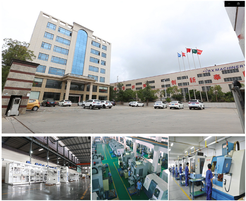 Factory overview showing exterior, production workshop, and working team of hygiene product machines